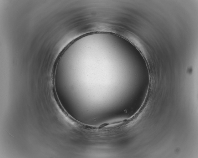 X0000091661141200709061015