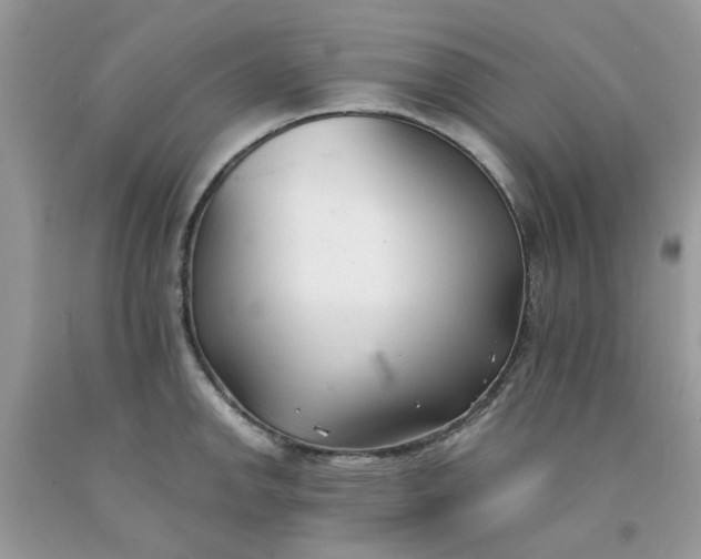 X0000091661142200709061015