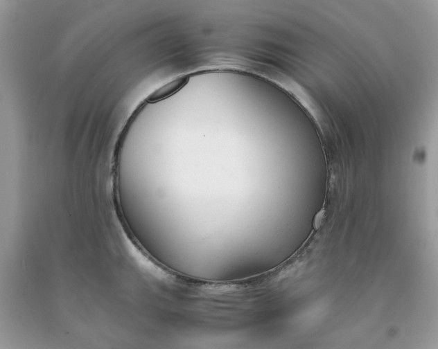 X0000091661143200709061015