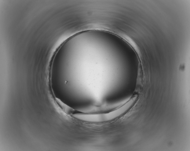 X0000091661144200709061015