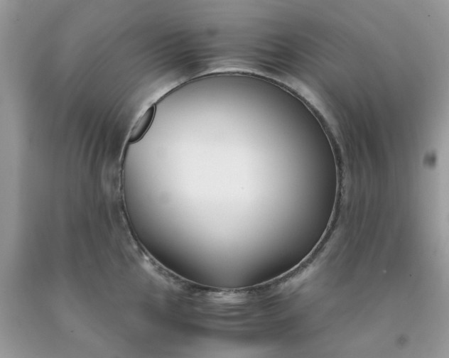 X0000091661145200709061015