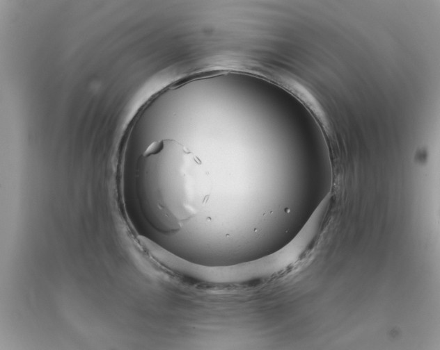 X0000091661146200709061015