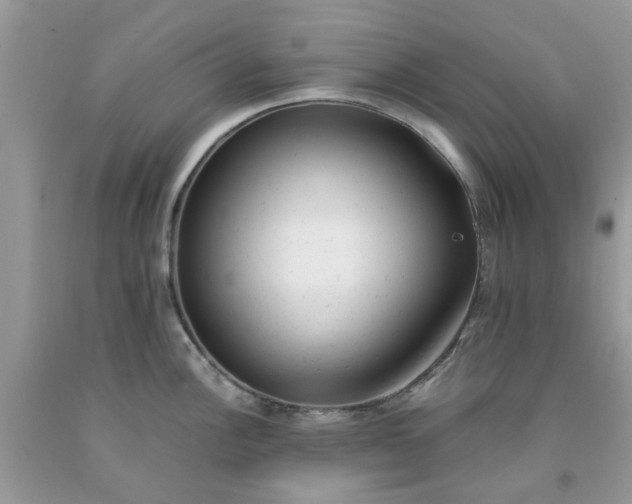 X0000091661148200709061015