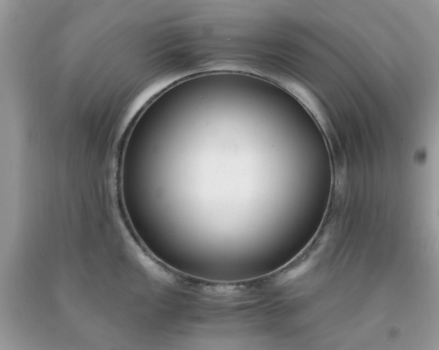 X0000091661149200709061015