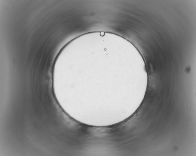 X0000091661150200709061015