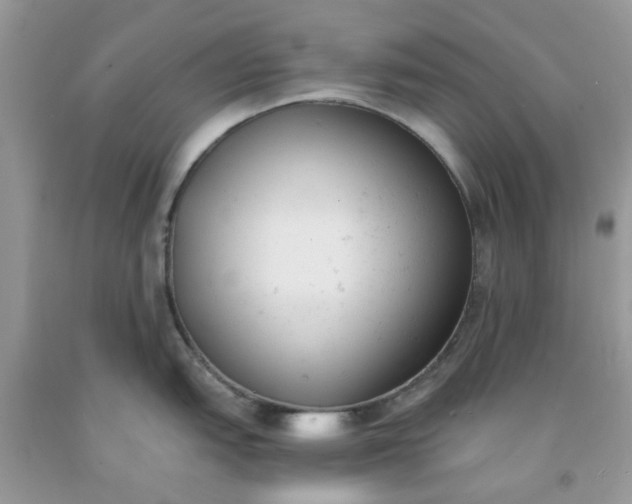 X0000091661151200709061015