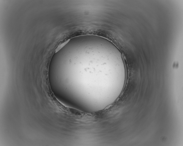 X0000091661153200709061014