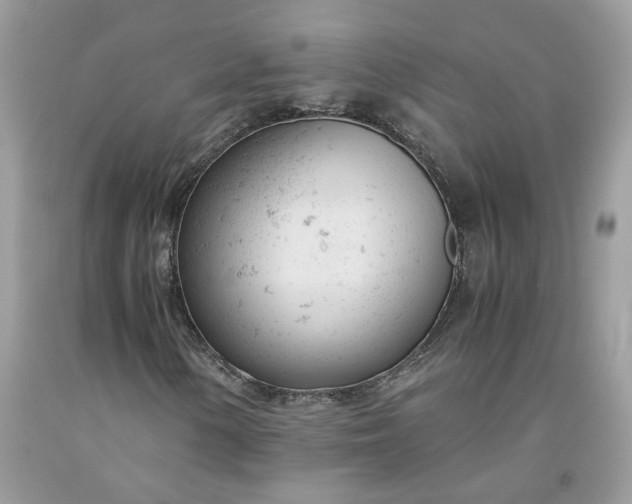 X0000091661154200709061014