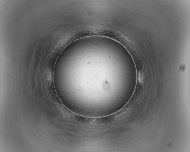 X0000091661155200709061014