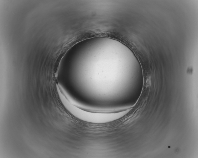 X0000091661156200709061014