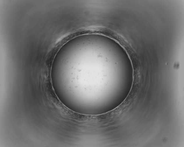 X0000091661158200709061014