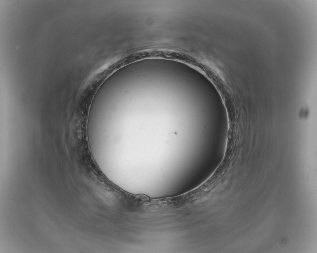 X0000091661159200709061014