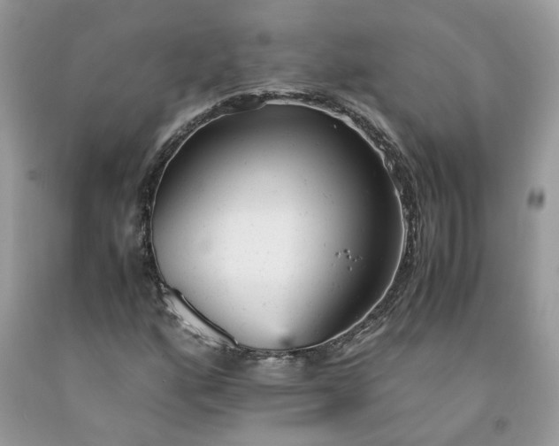 X0000091661160200709061014