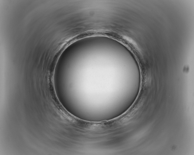 X0000091661161200709061014