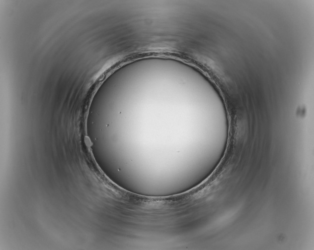 X0000091661162200709061014