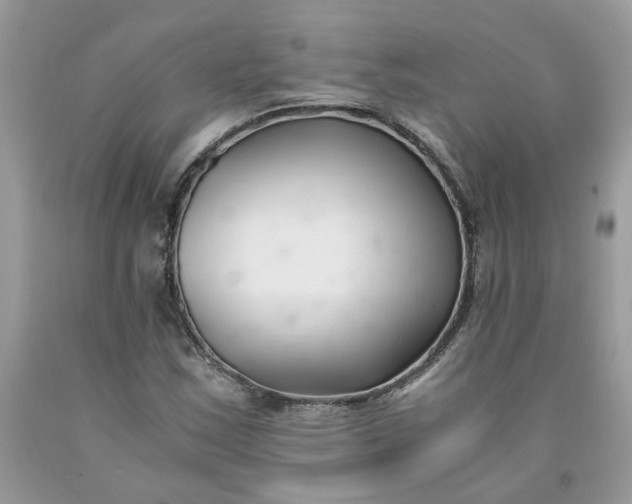 X0000091661163200709061014