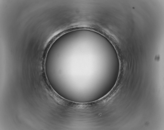 X0000091661166200709061014