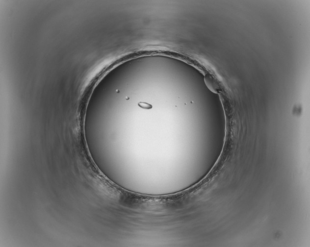 X0000091661167200709061014