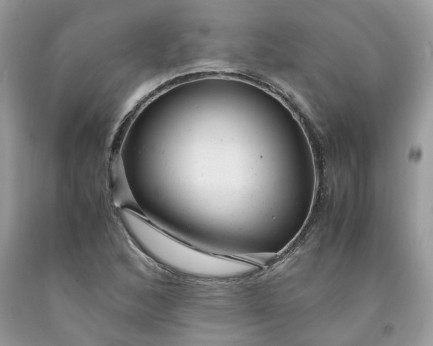 X0000091661168200709061014