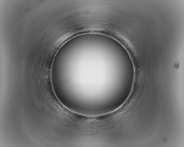 X0000091661169200709061014