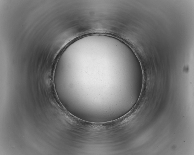 X0000091661170200709061014