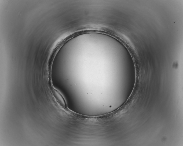 X0000091661172200709061014