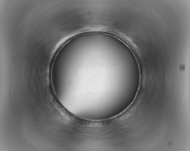 X0000091661174200709061014