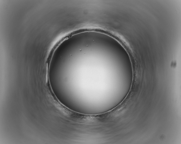 X0000091661175200709061014