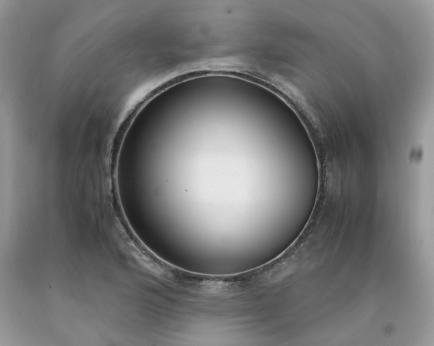 X0000091661176200709061014