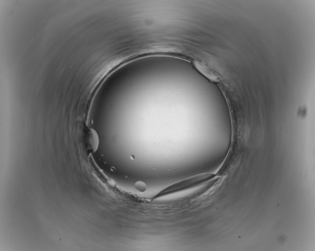 X0000091661177200709061014