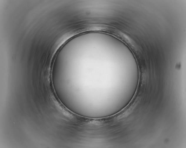 X0000091661178200709061014