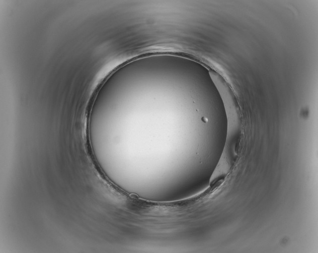 X0000091661179200709061014