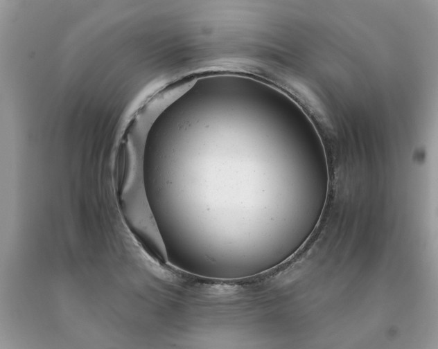 X0000091661180200709061014