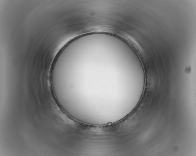 X0000091661182200709061014