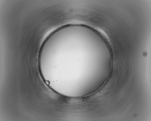 X0000091661183200709061014