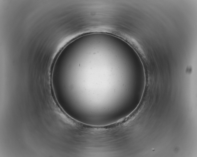 X0000091661184200709061014