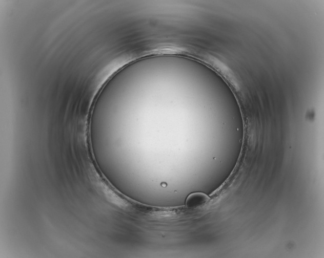 X0000091661186200709061014