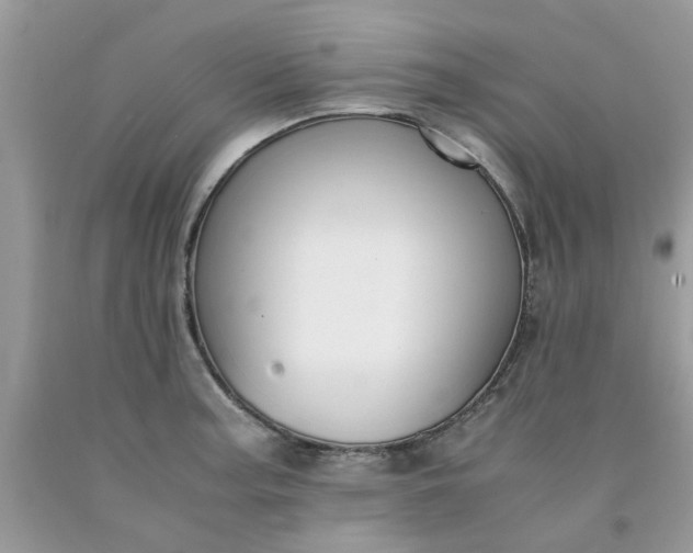 X0000091661187200709061014