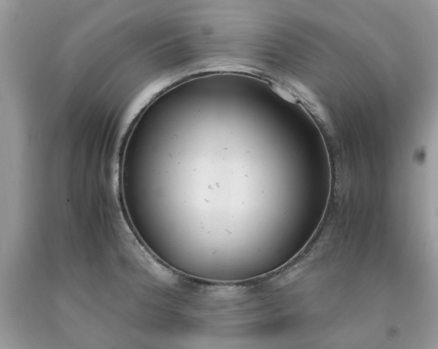 X0000091661188200709061014