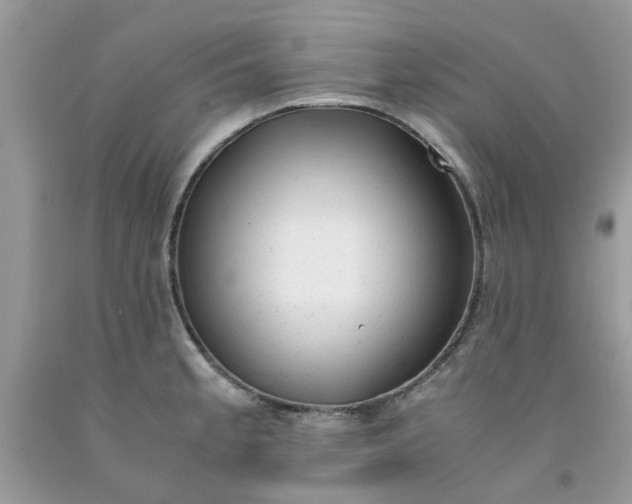 X0000091661189200709061014