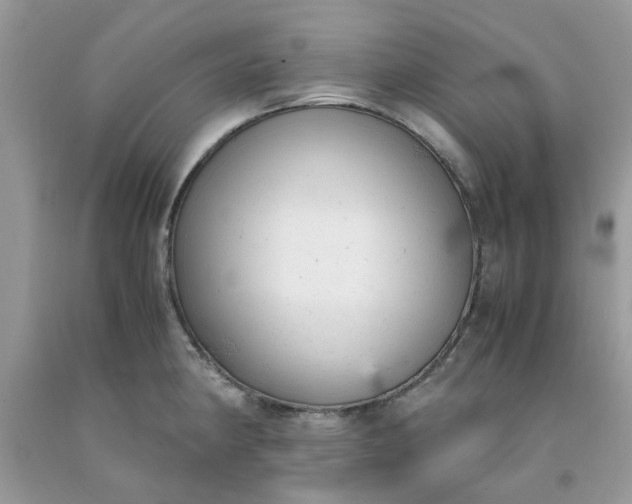 X0000091661190200709061014