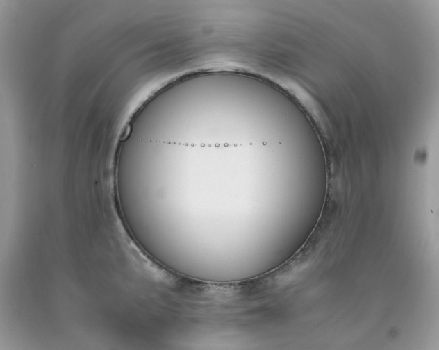 X0000091661191200709061014