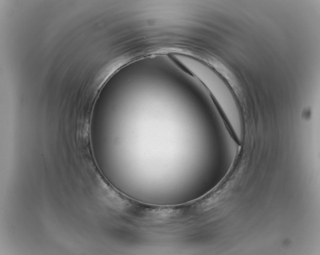 X0000091661193200709061014