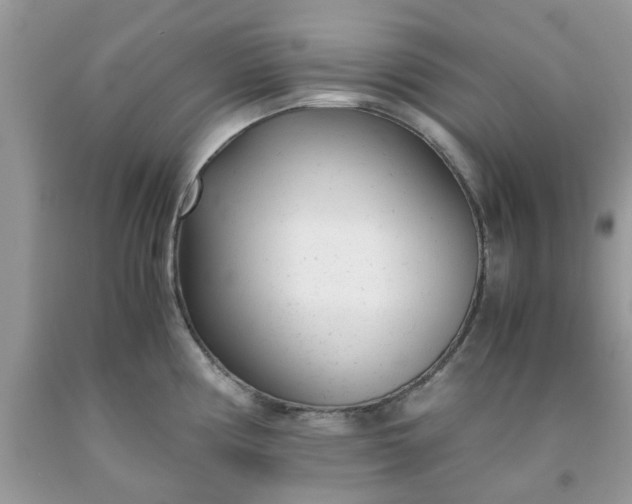 X0000091661194200709061014