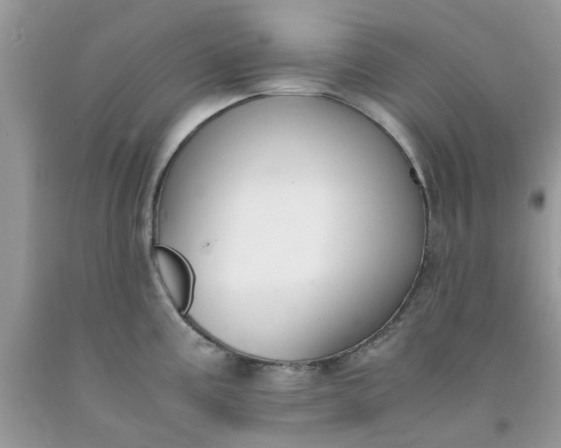 X0000091661195200709061014