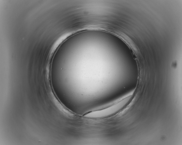 X0000091661196200709061013