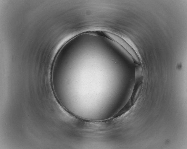 X0000091661197200709061013