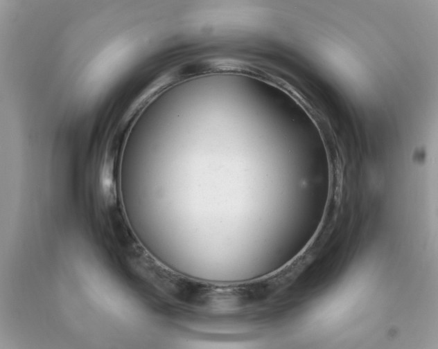 X0000091661198200709061013