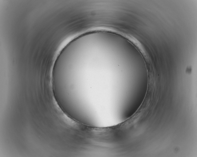 X0000091661199200709061013