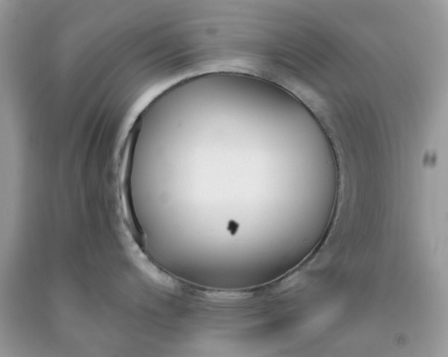 X0000091661200200709061013